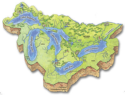 Your Watersheds, Our Great Lakes