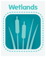 Wetlands